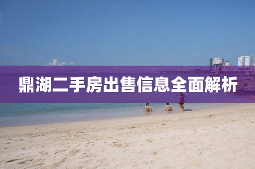 鼎湖二手房出售信息全面解析