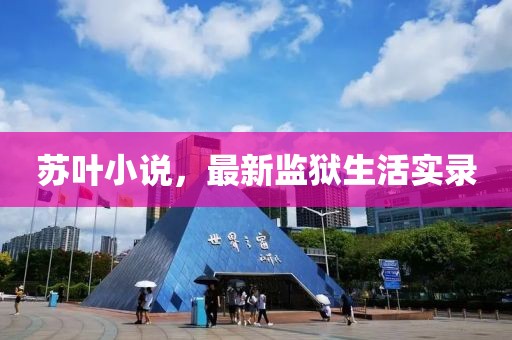 蘇葉小說，最新監(jiān)獄生活實錄