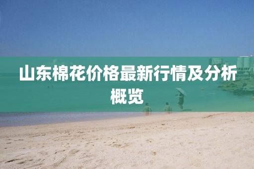 山東棉花價(jià)格最新行情及分析概覽