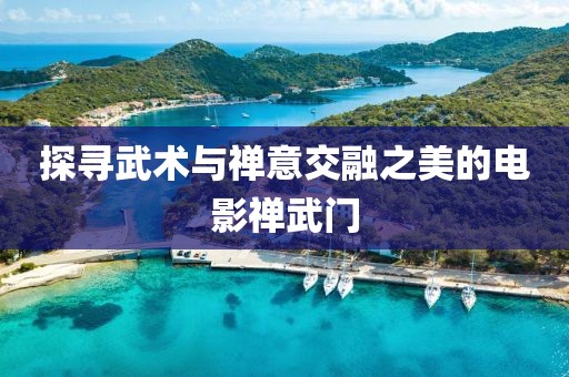 探尋武術(shù)與禪意交融之美的電影禪武門