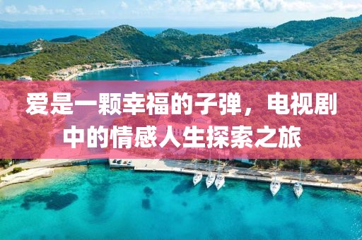 愛(ài)是一顆幸福的子彈，電視劇中的情感人生探索之旅