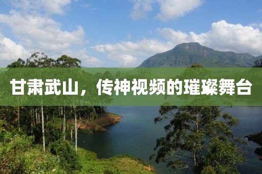 甘肅武山，傳神視頻的璀璨舞臺(tái)