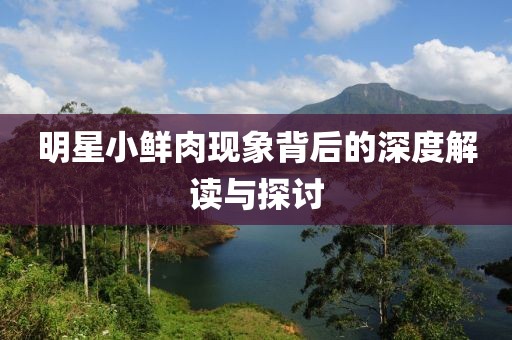 明星小鮮肉現(xiàn)象背后的深度解讀與探討