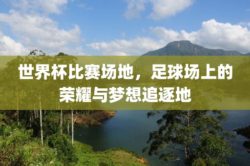 世界杯比賽場地，足球場上的榮耀與夢想追逐地