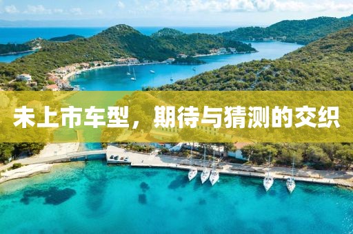 未上市車型，期待與猜測的交織