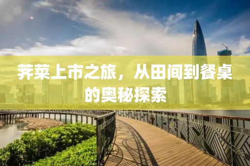 薺菜上市之旅，從田間到餐桌的奧秘探索