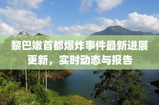 黎巴嫩首都爆炸事件最新進展更新，實時動態(tài)與報告