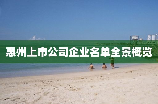 惠州上市公司企業(yè)名單全景概覽