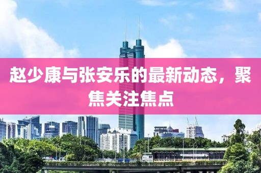 趙少康與張安樂的最新動態(tài)，聚焦關(guān)注焦點