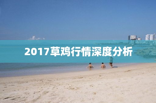 2017草雞行情深度分析