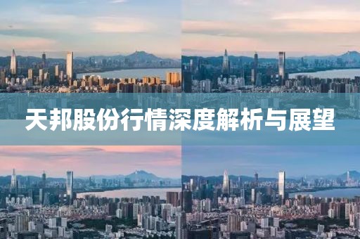 天邦股份行情深度解析與展望