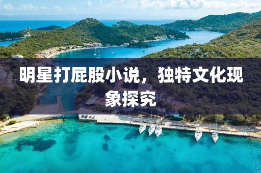 明星打屁股小說(shuō)，獨(dú)特文化現(xiàn)象探究