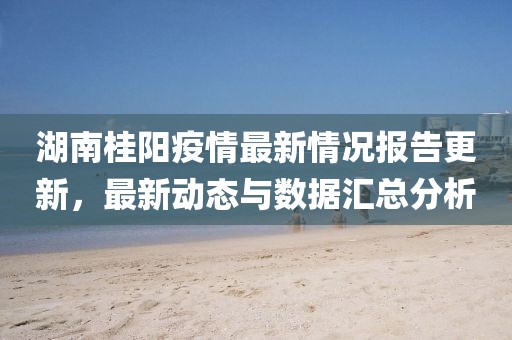 湖南桂陽(yáng)疫情最新情況報(bào)告更新，最新動(dòng)態(tài)與數(shù)據(jù)匯總分析