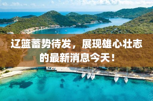 遼籃蓄勢待發(fā)，展現(xiàn)雄心壯志的最新消息今天！