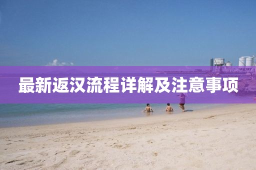 最新返漢流程詳解及注意事項