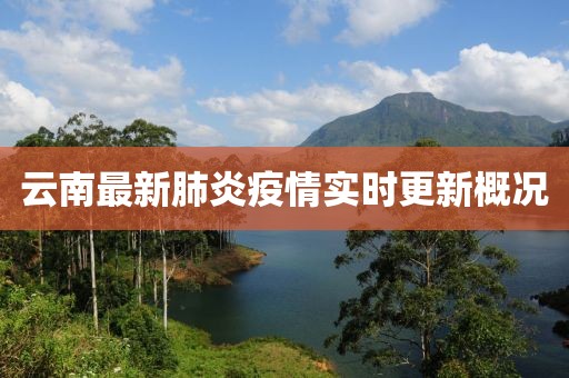 云南最新肺炎疫情實時更新概況