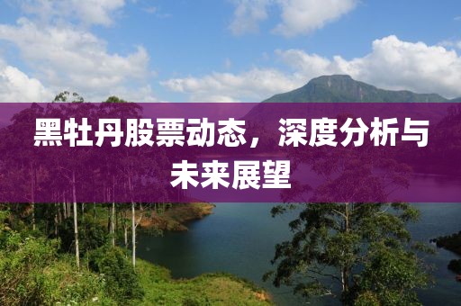 黑牡丹股票動(dòng)態(tài)，深度分析與未來(lái)展望