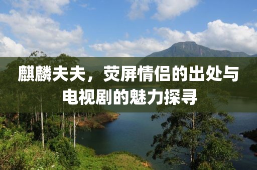 麒麟夫夫，熒屏情侶的出處與電視劇的魅力探尋
