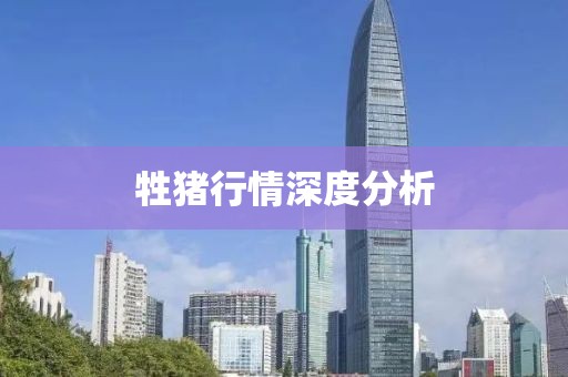 牲豬行情深度分析