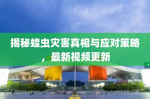 揭秘蝗蟲災(zāi)害真相與應(yīng)對策略，最新視頻更新