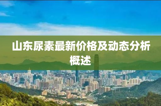 山東尿素最新價格及動態(tài)分析概述