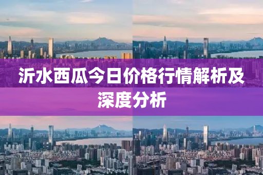 沂水西瓜今日價格行情解析及深度分析