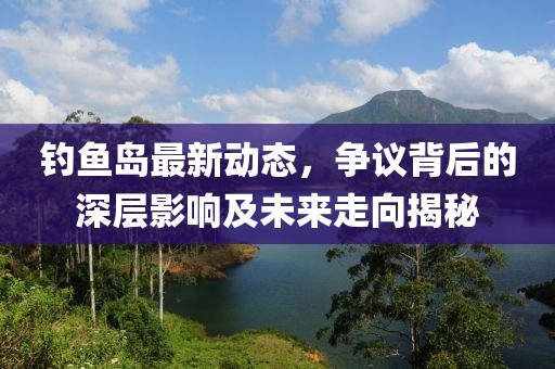 釣魚島最新動態(tài)，爭議背后的深層影響及未來走向揭秘