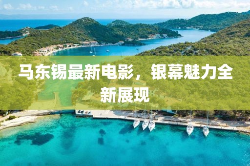 馬東錫最新電影，銀幕魅力全新展現(xiàn)