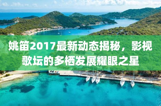 姚笛2017最新動態(tài)揭秘，影視歌壇的多棲發(fā)展耀眼之星