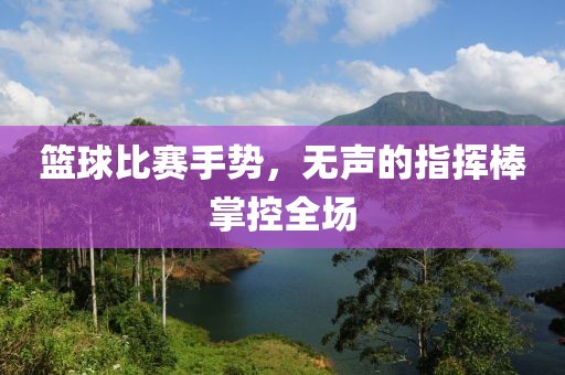 籃球比賽手勢，無聲的指揮棒掌控全場