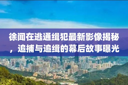 徐聞在逃通緝犯最新影像揭秘，追捕與追緝的幕后故事曝光