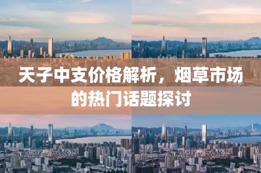天子中支價格解析，煙草市場的熱門話題探討