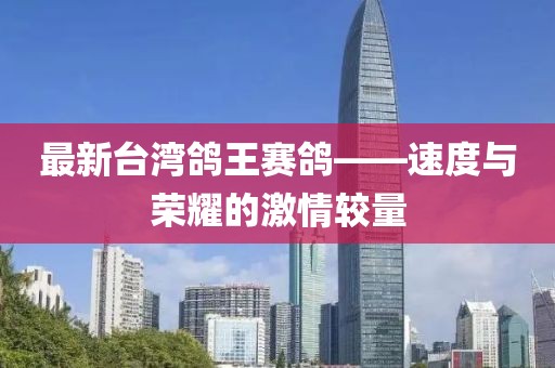 最新臺(tái)灣鴿王賽鴿——速度與榮耀的激情較量