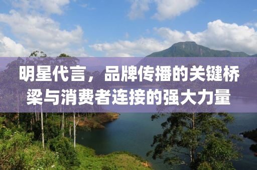 明星代言，品牌傳播的關(guān)鍵橋梁與消費(fèi)者連接的強(qiáng)大力量