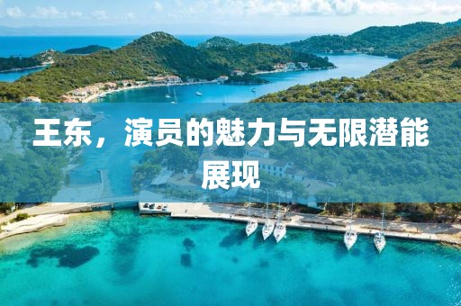 王東，演員的魅力與無限潛能展現(xiàn)