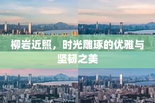 柳巖近照，時光雕琢的優(yōu)雅與堅韌之美