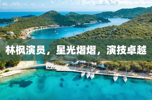 林楓演員，星光熠熠，演技卓越