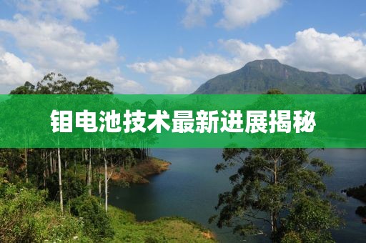 鉬電池技術(shù)最新進(jìn)展揭秘
