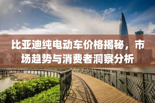 比亞迪純電動車價格揭秘，市場趨勢與消費者洞察分析