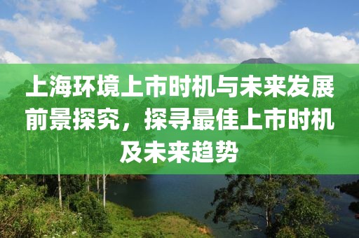 上海環(huán)境上市時(shí)機(jī)與未來發(fā)展前景探究，探尋最佳上市時(shí)機(jī)及未來趨勢