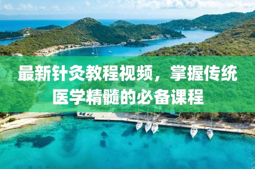 最新針灸教程視頻，掌握傳統(tǒng)醫(yī)學精髓的必備課程
