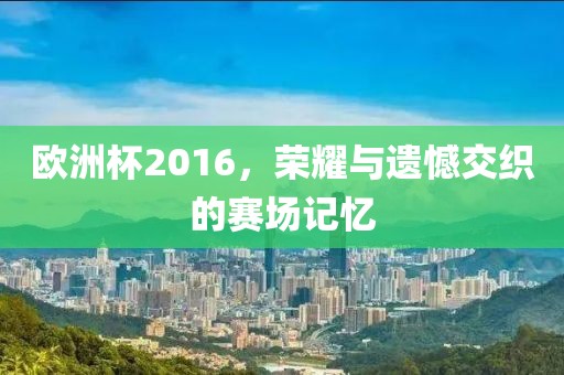 歐洲杯2016，榮耀與遺憾交織的賽場(chǎng)記憶