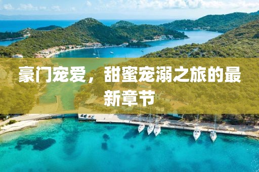 豪門寵愛，甜蜜寵溺之旅的最新章節(jié)