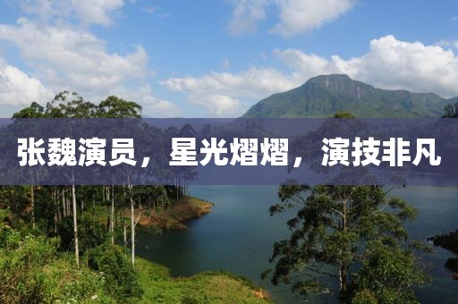 稻城 第16頁