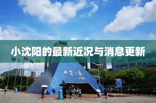 小沈陽的最新近況與消息更新