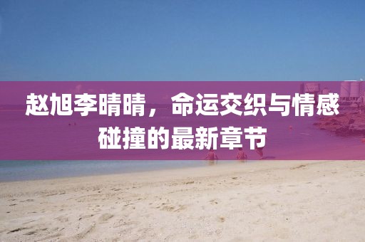 趙旭李晴晴，命運(yùn)交織與情感碰撞的最新章節(jié)