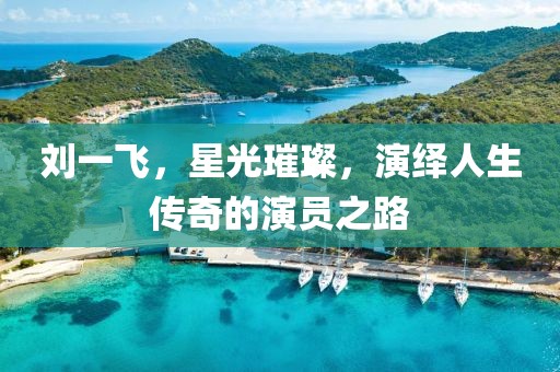 劉一飛，星光璀璨，演繹人生傳奇的演員之路