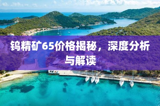 鎢精礦65價格揭秘，深度分析與解讀