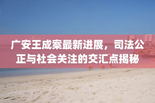 廣安王成案最新進展，司法公正與社會關(guān)注的交匯點揭秘