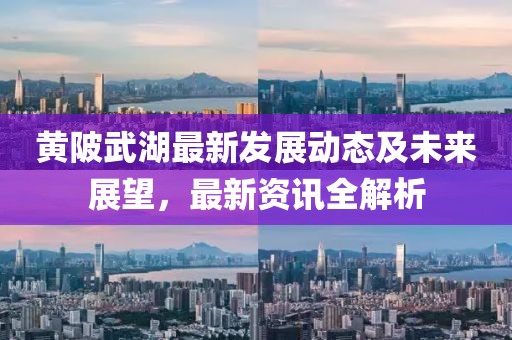 黃陂武湖最新發(fā)展動態(tài)及未來展望，最新資訊全解析